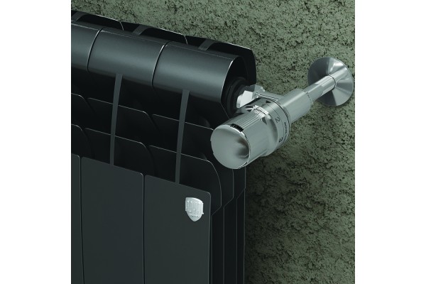 Royal Thermo Biliner Noir Sable 500