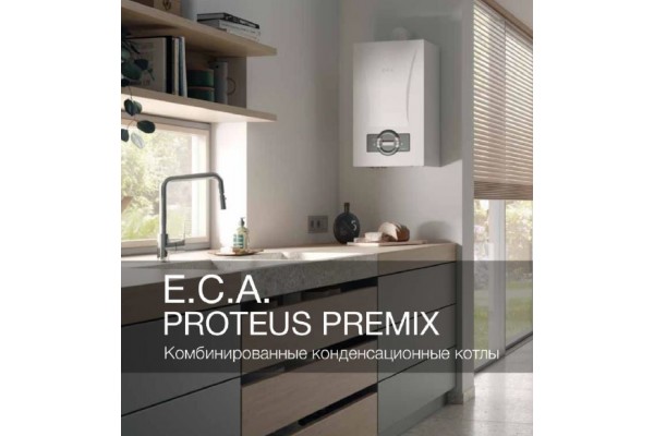 E.C.A. Proteus Premix 24 kw