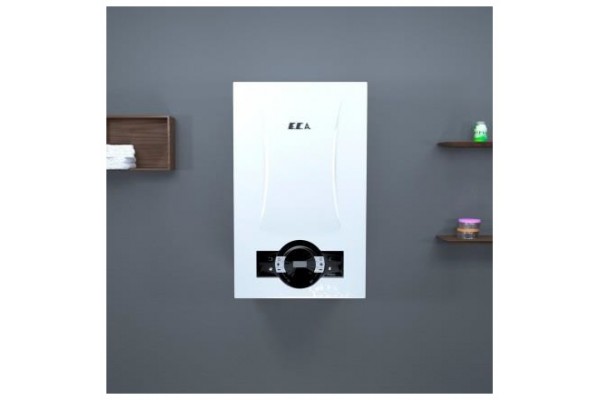 E.C.A. Proteus Premix 24 kw